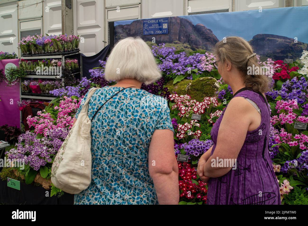 East Molesey, Surrey, UK. 4th July, 2022. It was a busy first day at the RHS Hampton Court Palace Garden Festival as members were admiring the plants and buying up plenty in the Floral Marquee. Credit: Maureen McLean/Alamy Live News Stock Photo