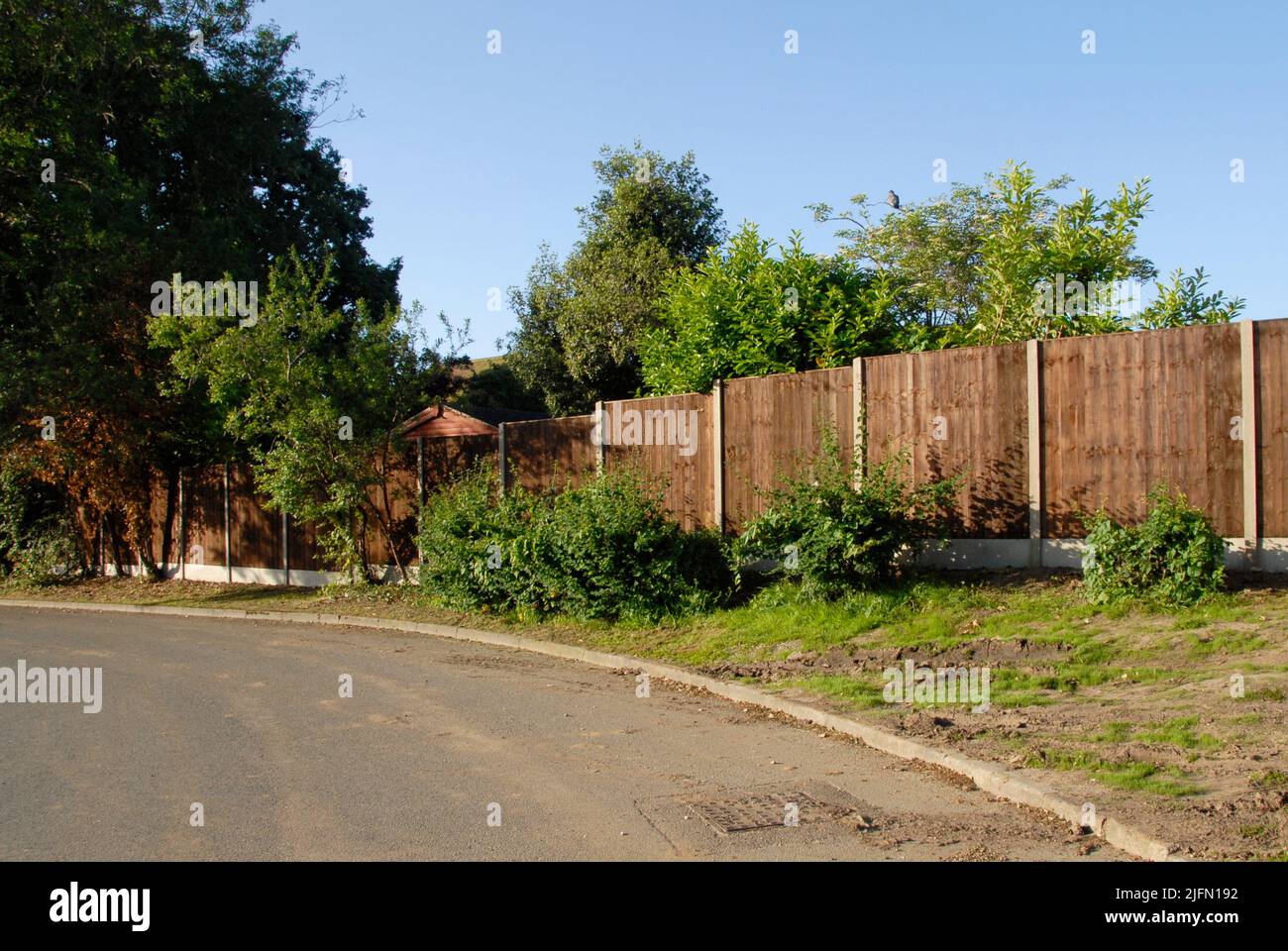 Exterior of new fencing with concrete posts and six-by-six feet dark wooden panels enclosing garden in quiet suburban area Stock Photo