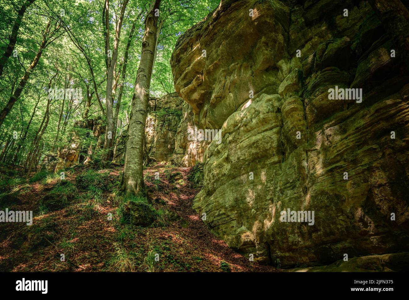 big rocks in the mullerthal in luxembourg Stock Photo