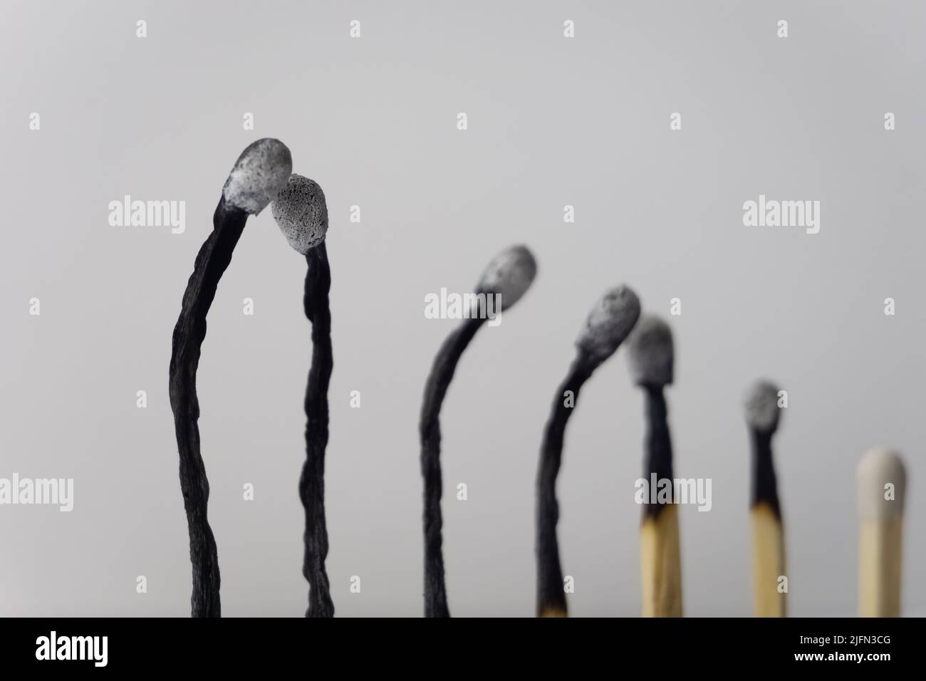 Burnt and bent matchsticks. Wooden matchsticks burning in sequence on a gray background. Selective Focus. Stock Photo