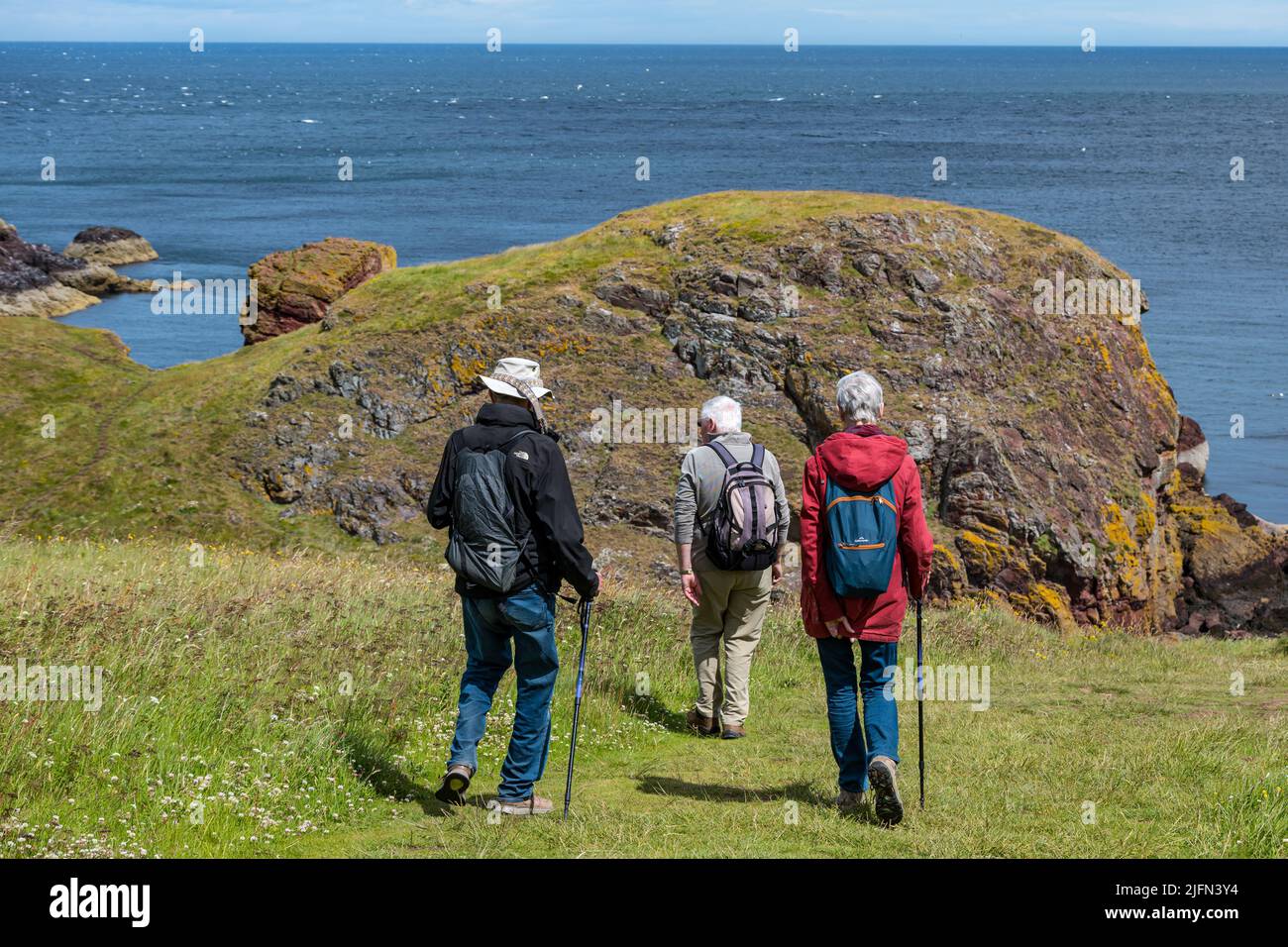 Berwickshire, Scotland, UK, 4th July 2022. UK Weather: strong wind and sunshine on the Berwickshire coastal path. Walkers enjoy the weather on the magnificent clifftop coastal path route Stock Photo
