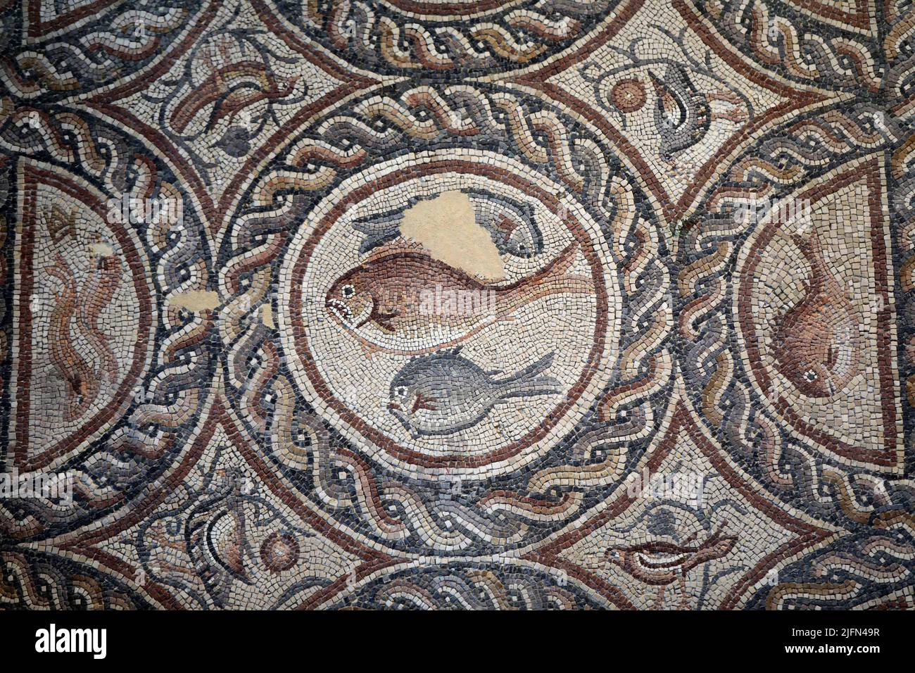 Lod, Tel Aviv in central Israel. 4th July, 2022. Part of the Lod mosaic is pictured at the Lod Mosaic Archaeological Center in Lod, a city east of Tel Aviv in central Israel, July 4, 2022. The Lod Mosaic Archaeological Center was built to exhibit the unique mosaics dating from the Roman period. Credit: Gil Cohen Magen/Xinhua/Alamy Live News Stock Photo