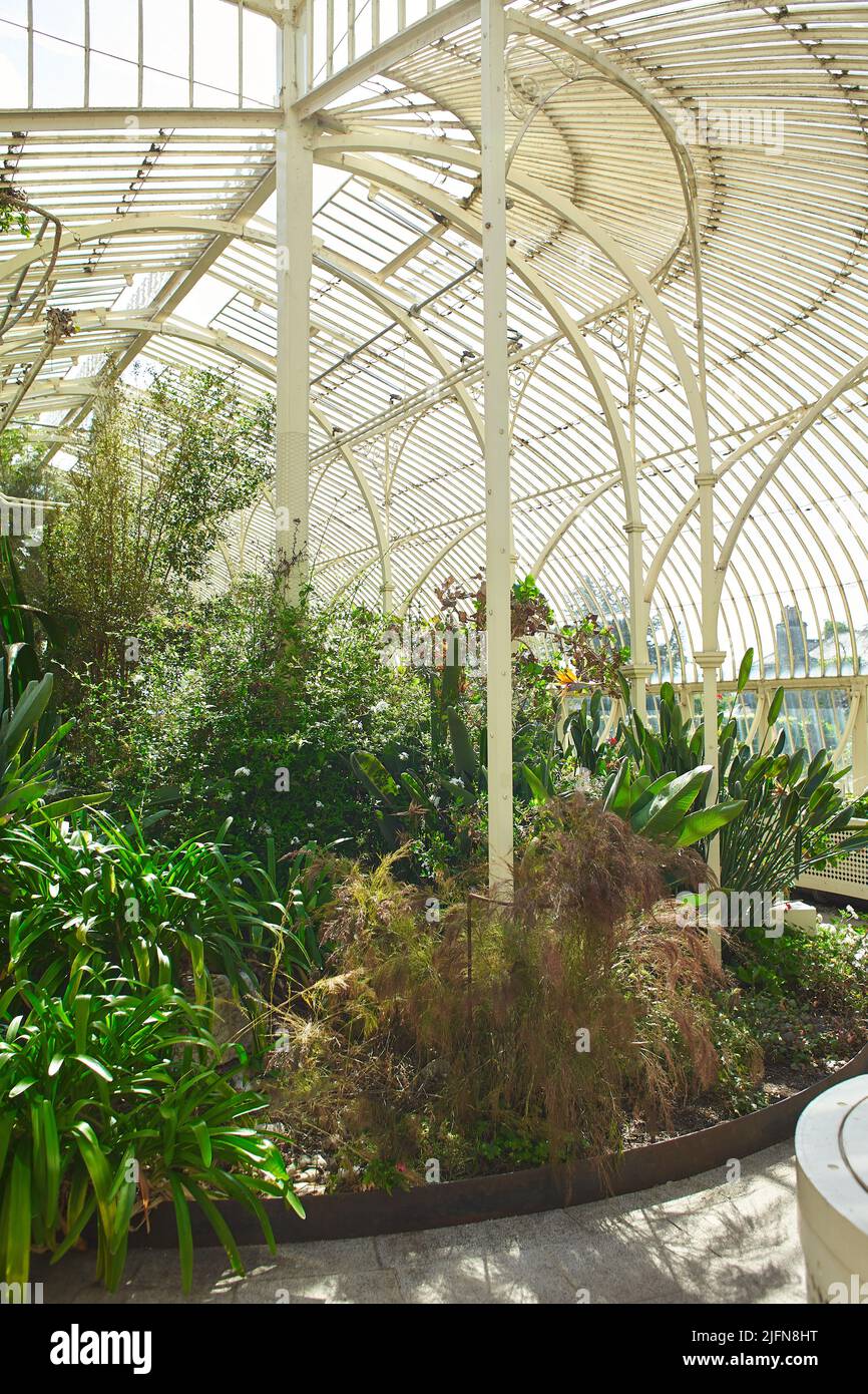 Botanical garden with plants and flowers growing in Dublin, Ireland