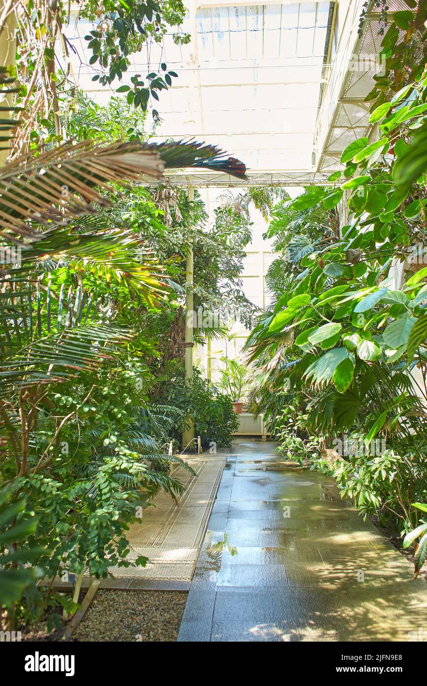 Botanical garden with plants and flowers growing in Dublin, Ireland