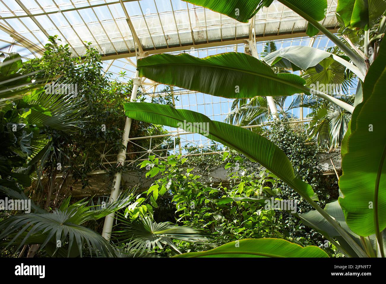 Botanical garden with plants and flowers growing in Dublin, Ireland Stock Photo Alamy