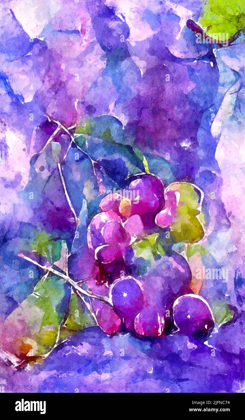 Watercolor painting of fresh vinegrapes in purple blue. Artwork. Stock Photo