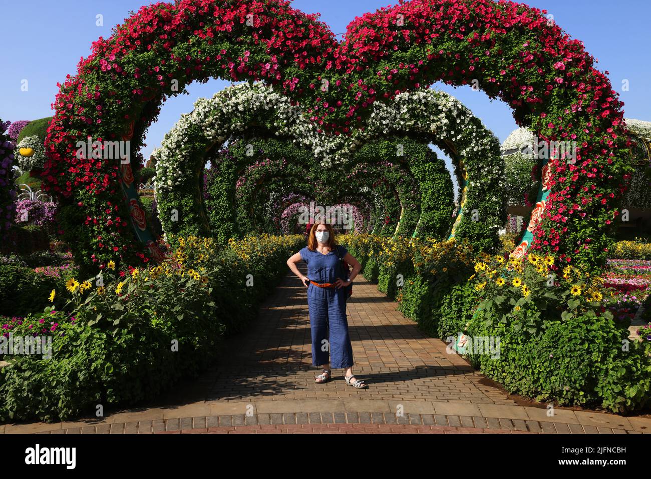 Blumen, Dubai, Miracle Garden, ein Garten mit wunderschönen Pflanzen und Blumen Mitten in der wüste Stock Photo