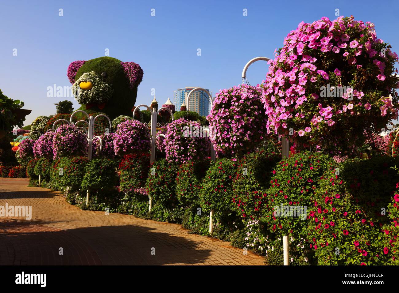 Blumen, Dubai, Miracle Garden, ein Garten mit wunderschönen Pflanzen