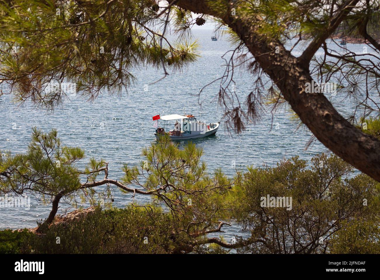 View of a wooden, traditional fishing boat through pine tress called Pinus Brutia and Aegean sea captured in Ayvalik area of Turkey. It is a sunny sum Stock Photo