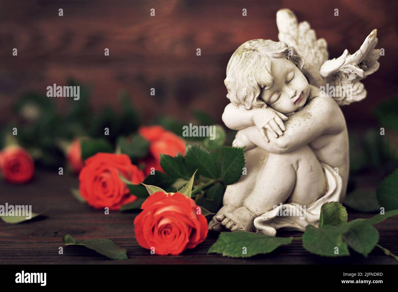 Guardian angel and roses on dark background Stock Photo
