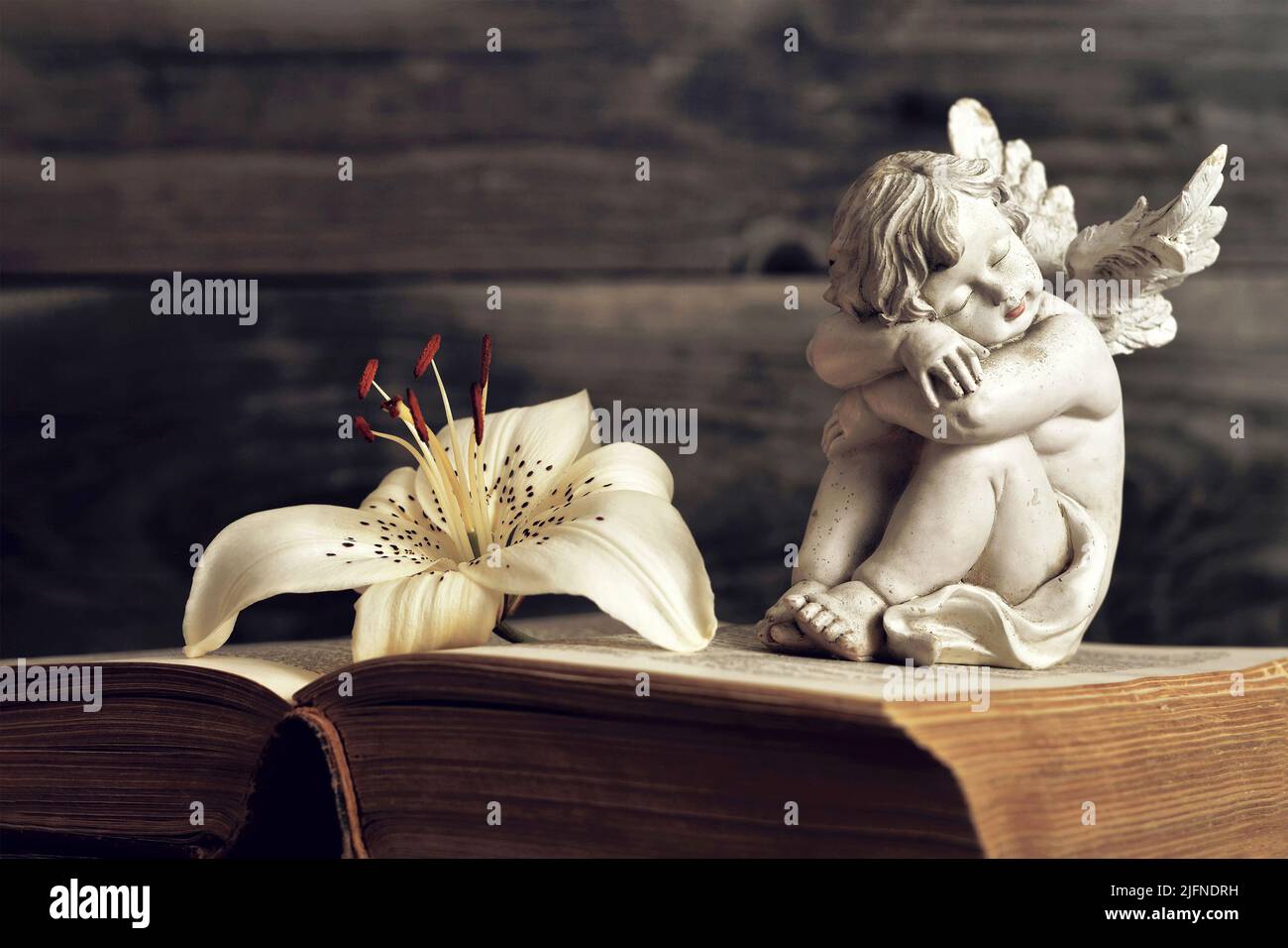 Angel and lily flower on open book Stock Photo