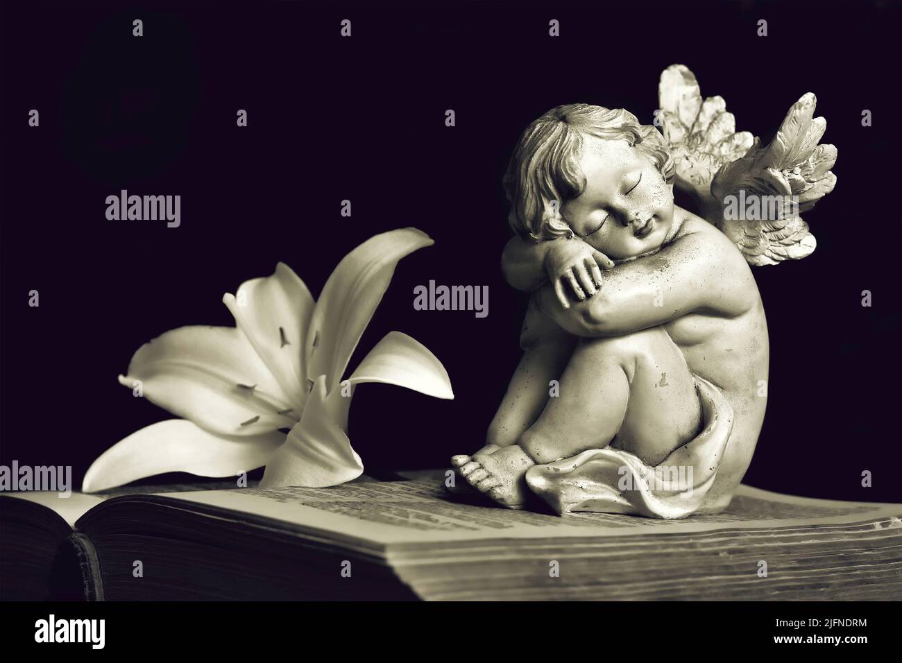 Angel and white lily flower on open book isolated on black background Stock Photo