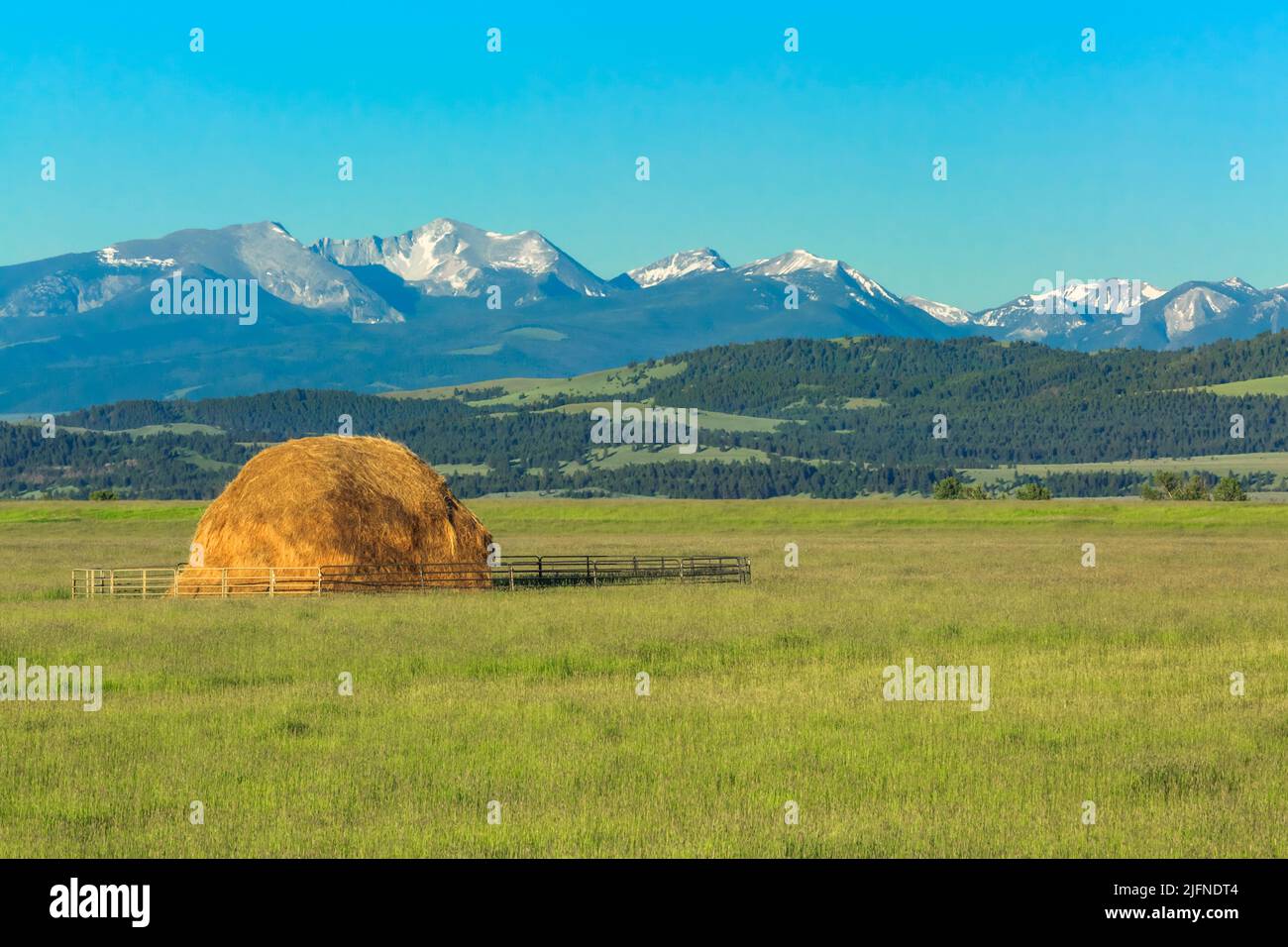 haystack in a hay meadow below the flint creek range near avon, montana Stock Photo