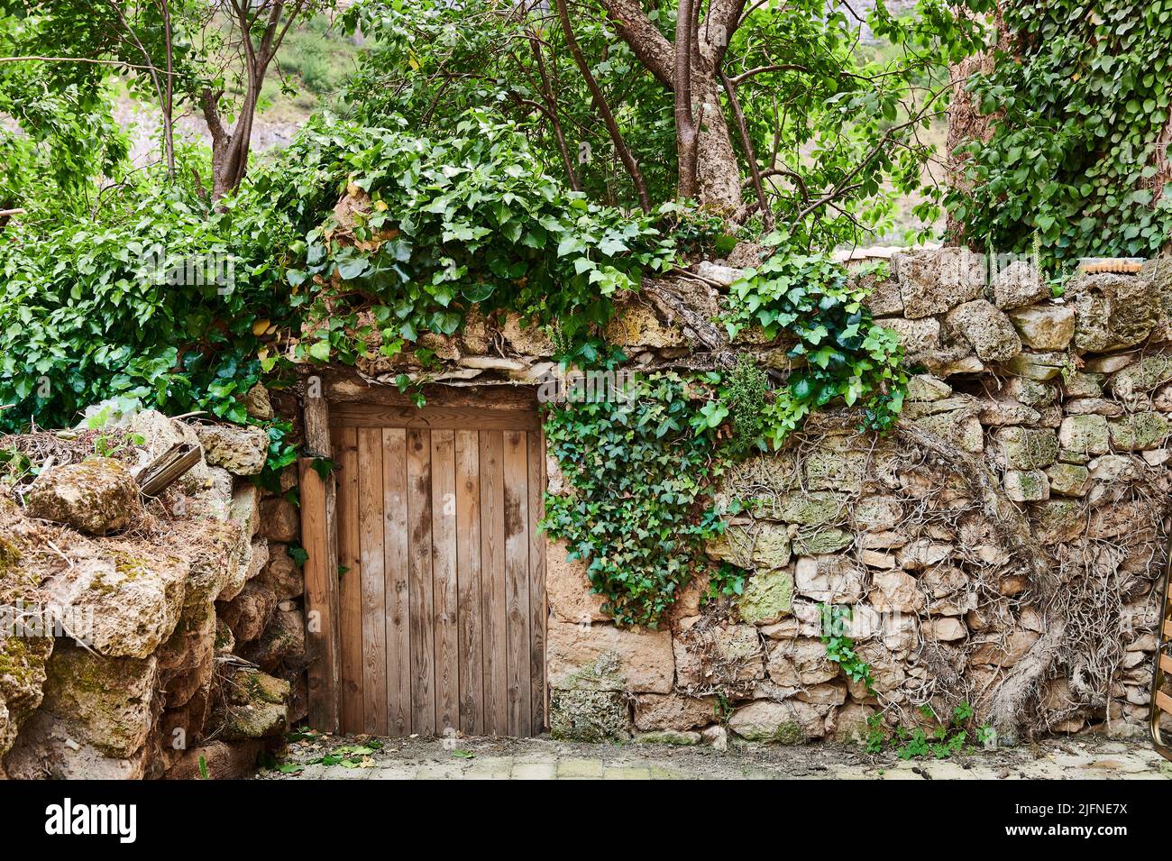 Stone wall and old wooden door to entry of private field Stock Photo