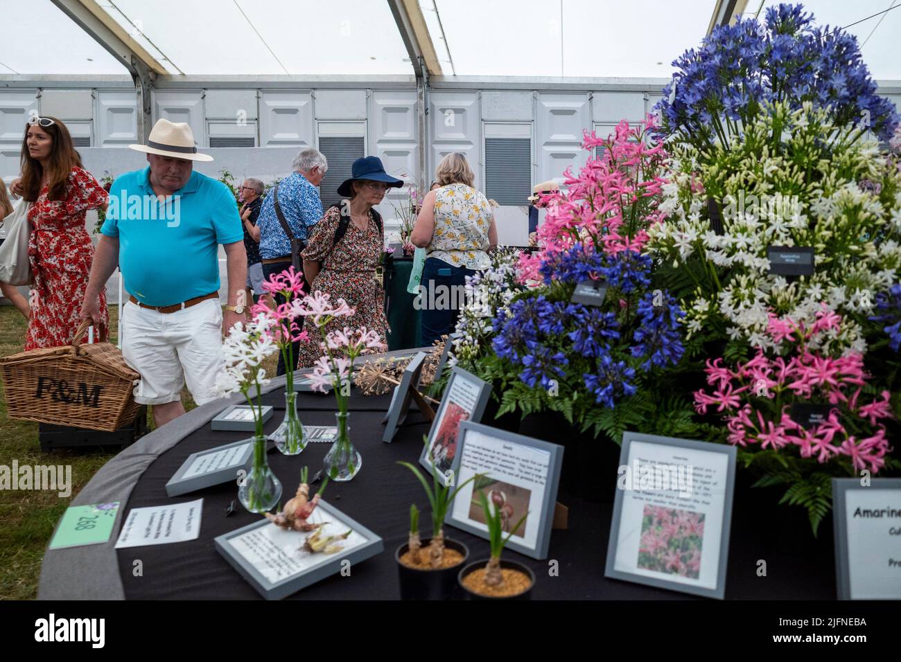 London, UK. 4 July 2022. Visitors in the Floral Marquee during the