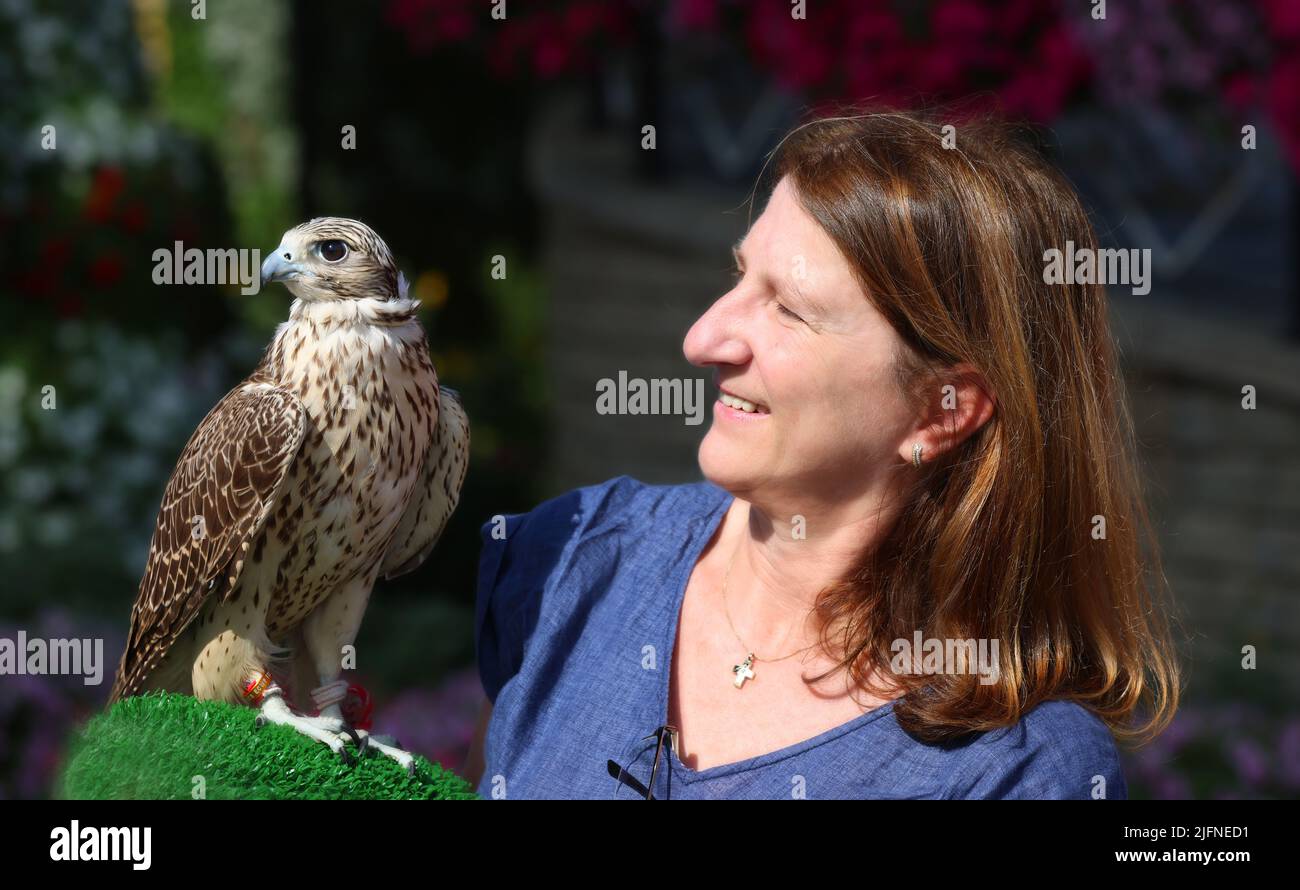 Dubai, Falke, Dubai Falke, schöne Frau kommuniziert mit einem Falken im Miracle Garden in Dubai Stock Photo