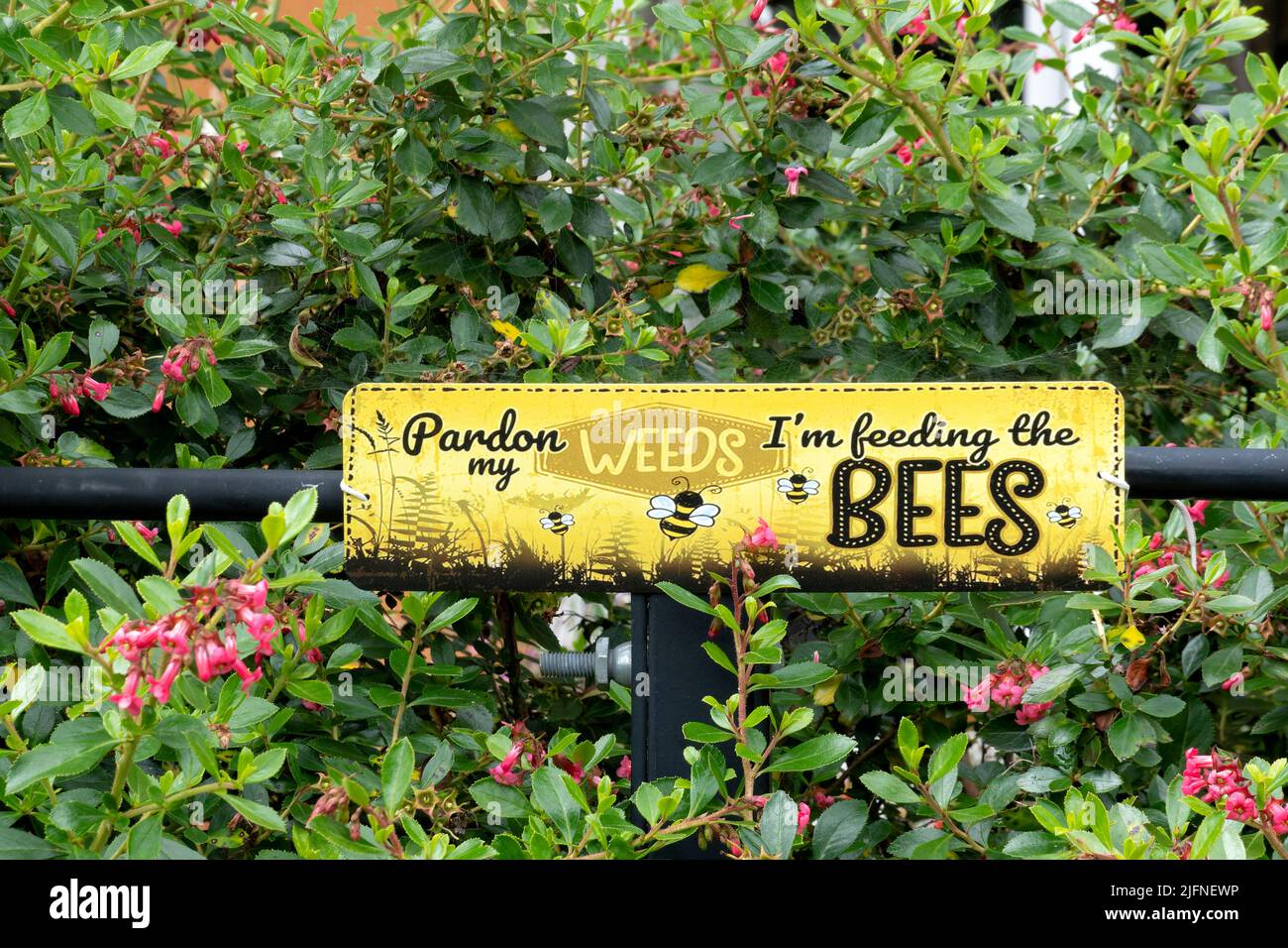 A comical, metal domestic garden sign, placed by the owners bush to advise they are growing weeds for the benefit of bees. Stock Photo