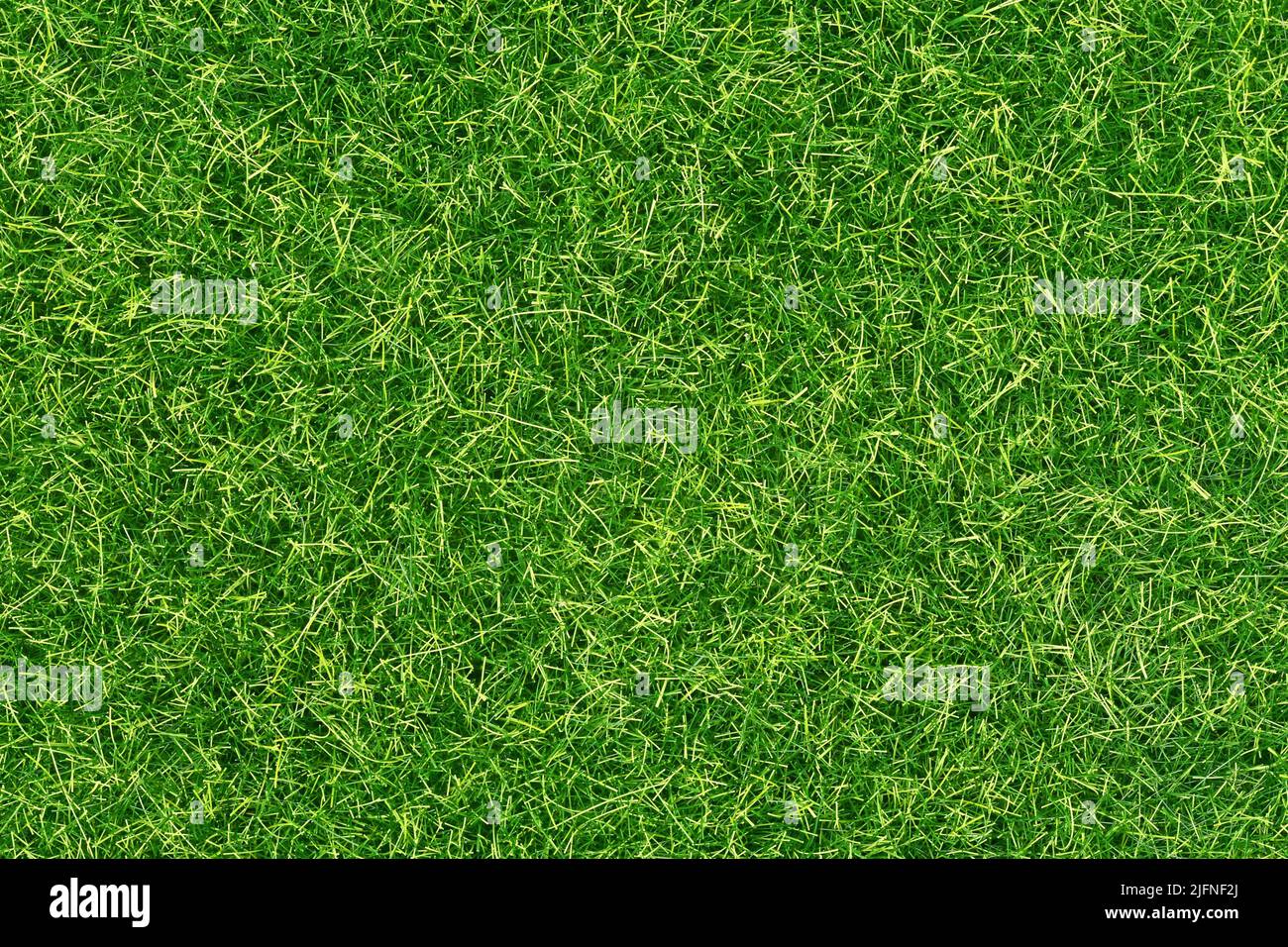 Top view of synthetic turf grass Stock Photo