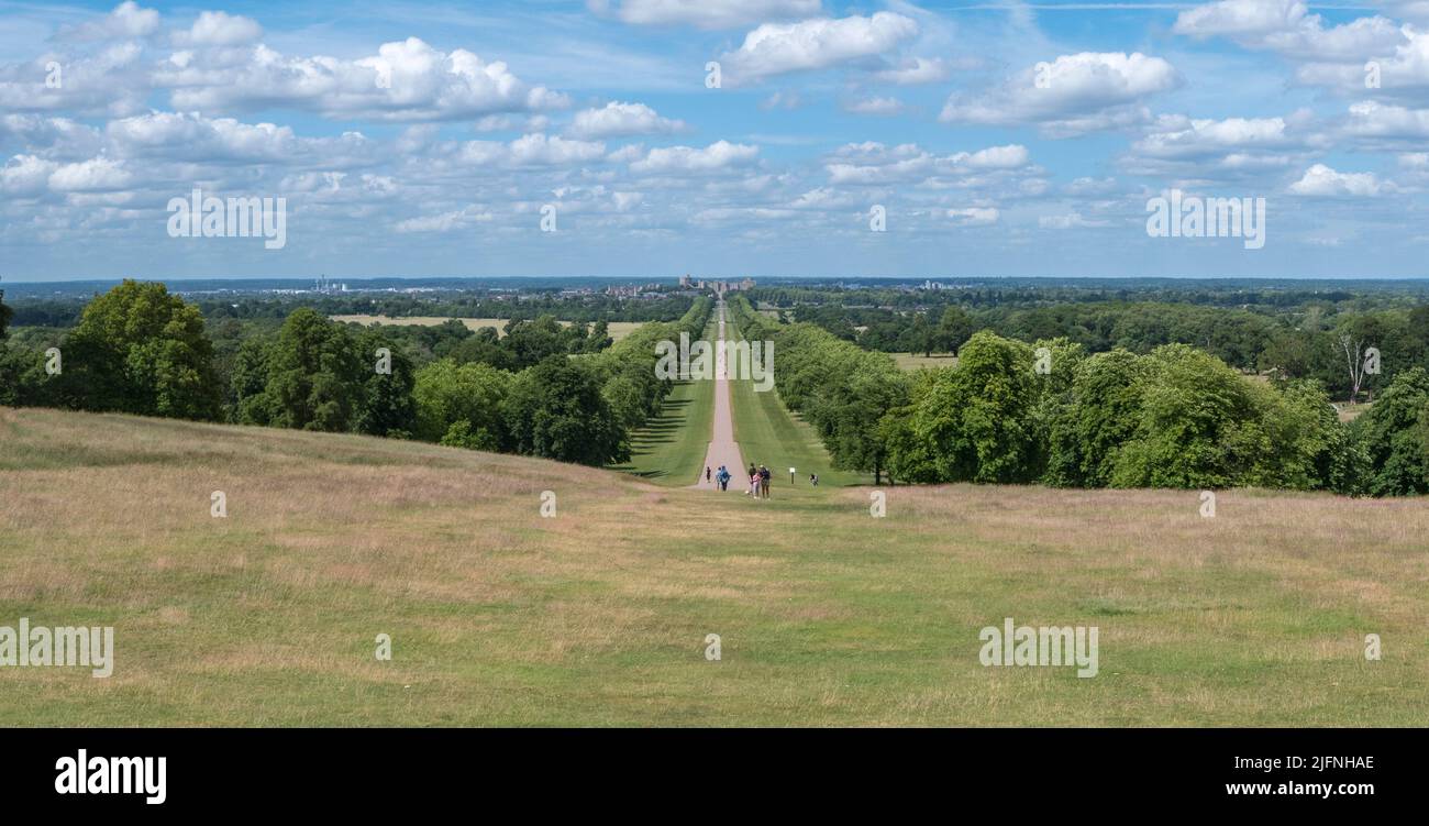 View from Snow Hill down the Long Walk towards Windsor Castle, Windsor Great Park, UK. Stock Photo