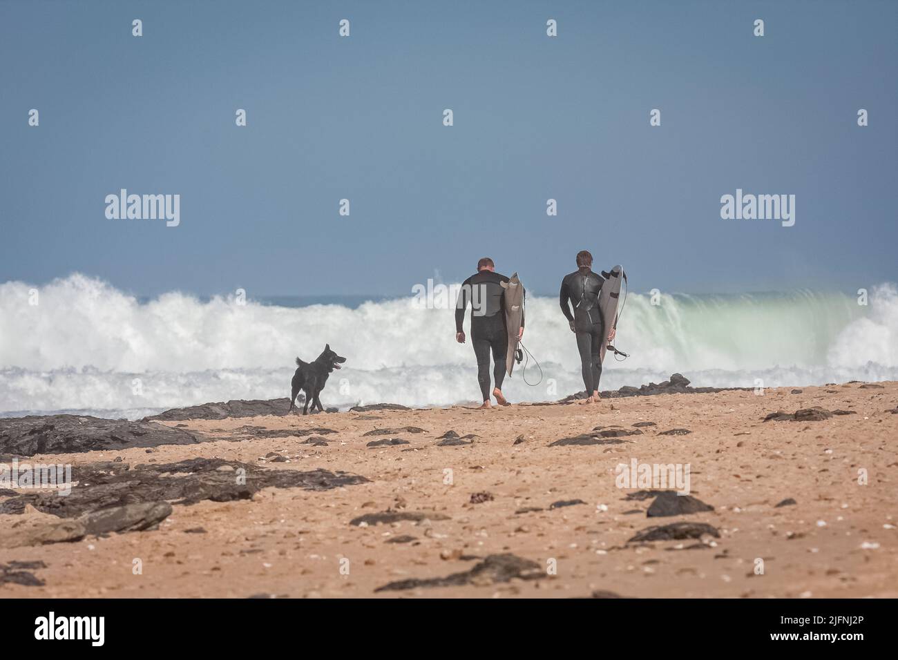 A back view of surfers in wetsuits walking on the beach with surfboards