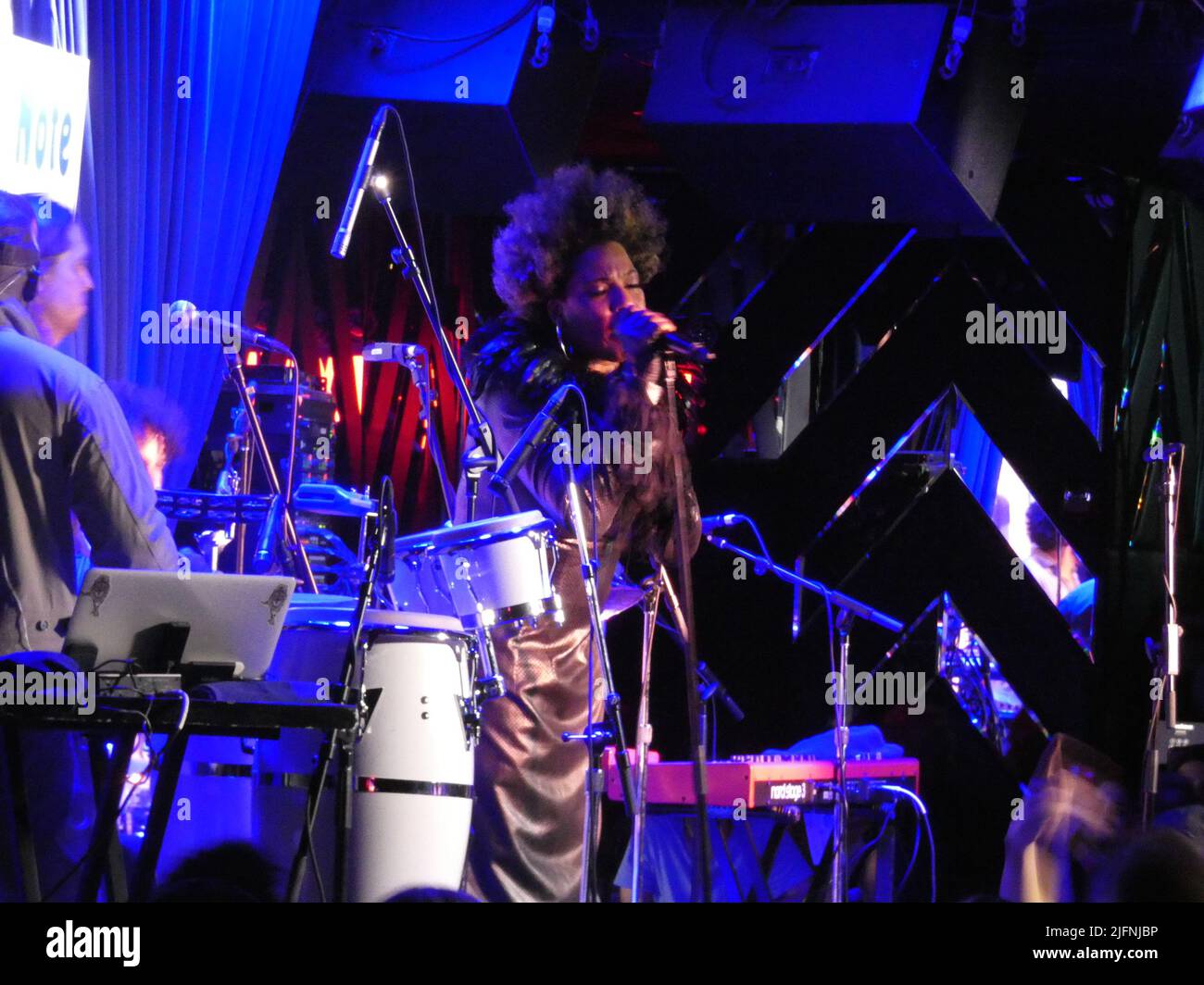 New York, NY, 04/07/2022, Recluse R&B Star Macy Gray Emerges to Deliver a Rare Performance at New York's Renowned Blue Note Jazz Club. Blue Note Jazz Club 131 W 3rd St, New York, NY 10012, USA. Credit: ©Julia Mineeva/EGBN TV News/Alamy Live News Stock Photo