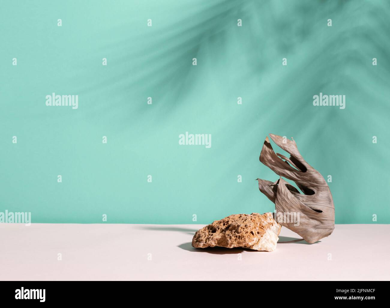 Abstract modern podium dry plant and stone, blue menthol empty ...