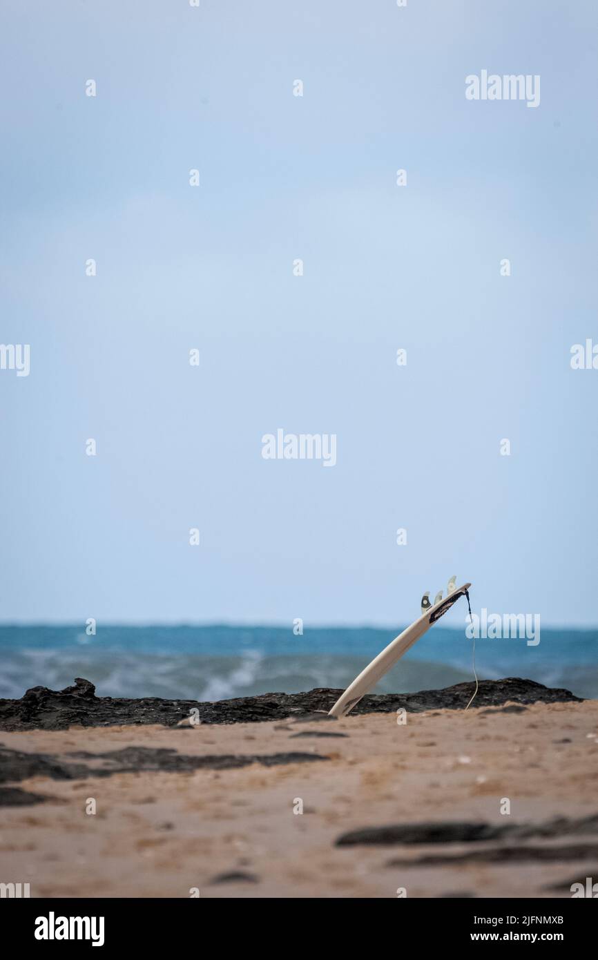 A vertical shot of a surfboard stuck in the sand by the ocean in