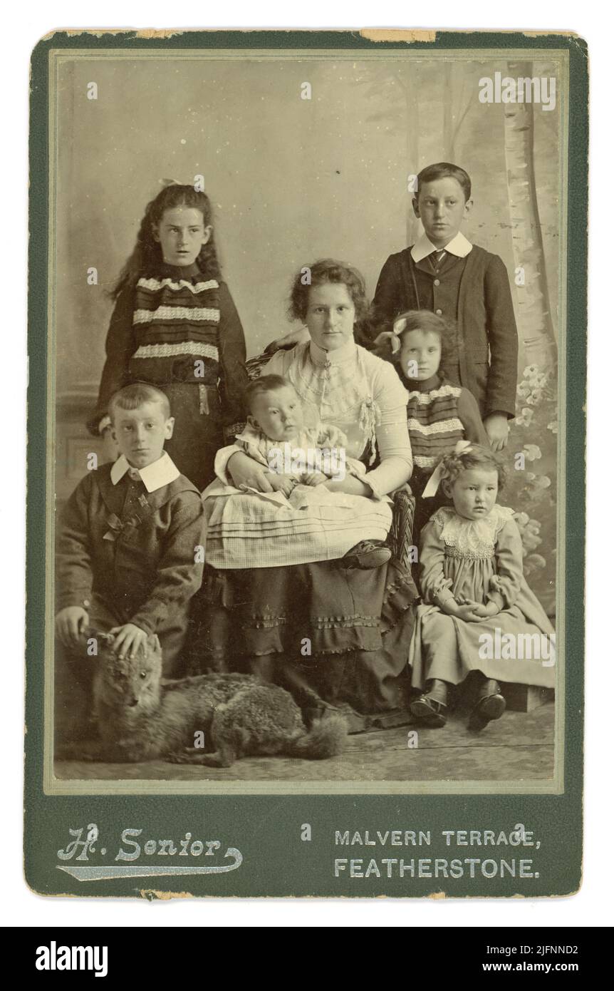 Original Victorian or early Edwardian cabinet card photograph of middle class woman with 6 children, the 2 youngest children possibly her new family. The woman wears  a blouse and skirt - fitted sleeves, high neckline of blouse. The boys are wearing formal suits with stiff collars. There is a strange taxidermy fox used as a prop, Studio of H. Senior, Malvern Terrace, Featherstone, Wakefield, West Yorkshire, England, U.K. Circa 1900, 1901. Stock Photo