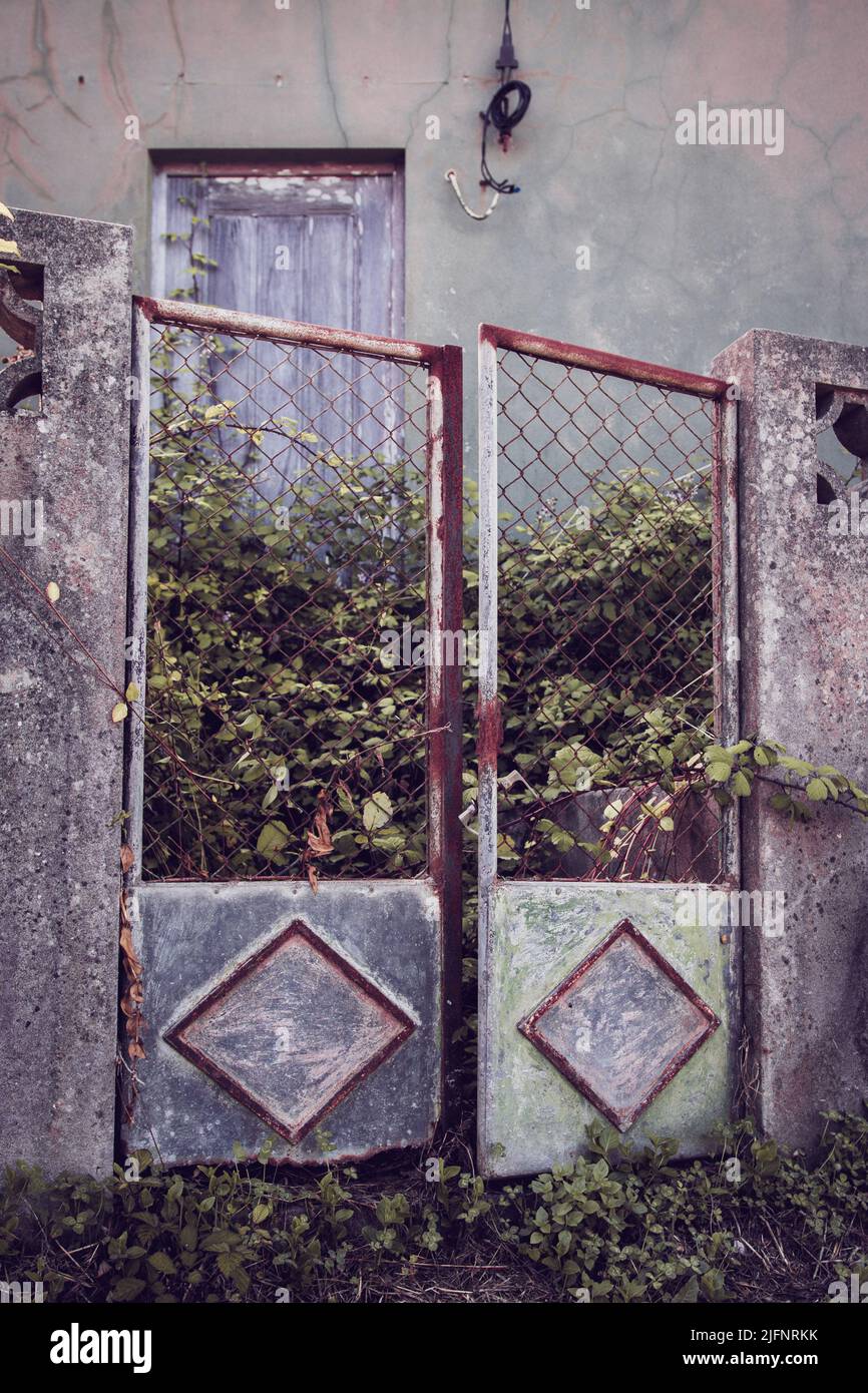 An old rusty open gate in an abandoned rural house covered in wild growing vegetation. Vertical photo with desaturated colors Stock Photo