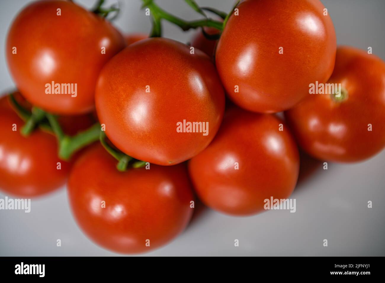 Tomatoes cut out tomatoes on vine - red ripe tomato - tomatoes white background cutout tomatos Solanum lycopersicum Stock Photo