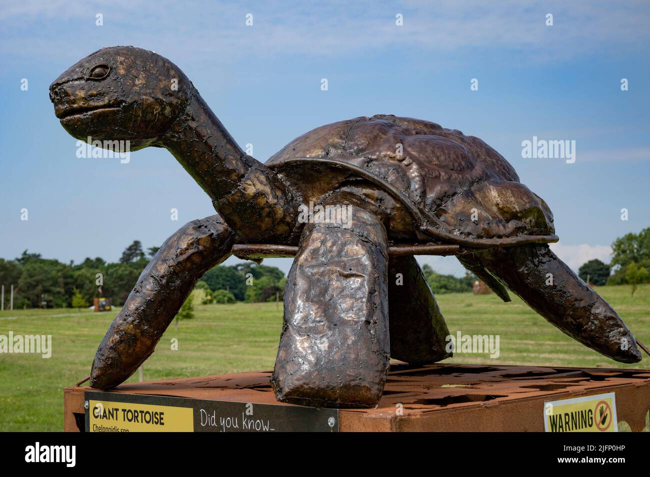 The British Ironwork Centre, Giant Tortoise,  Exhibit/Sculpture Stock Photo