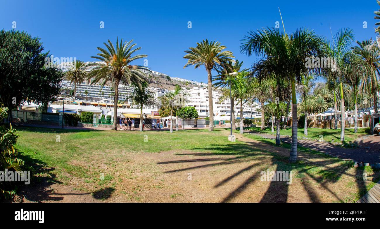2 February 2022- photo of beautiful beach of Playa de Amadores near Puerto Rico town, Gran Canaria, Canary Islands. Spain Stock Photo