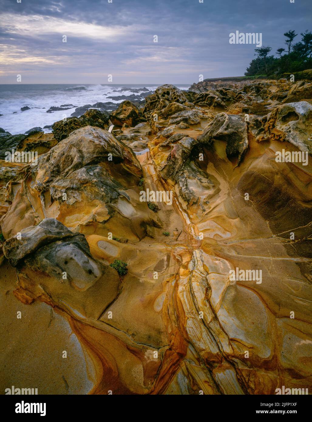 Sandstone, Del Mar Ecological Preserve, Sea Ranch, Sonoma Coast, Sonoma County, California Sonoma County, California Stock Photo