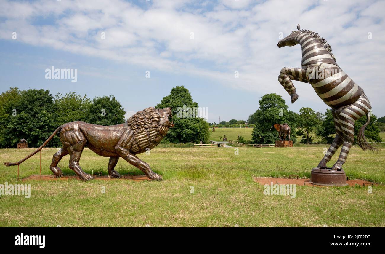 The British Ironwork Centre, Lion Hunting Zebra Exhibit/Sculpture Stock Photo