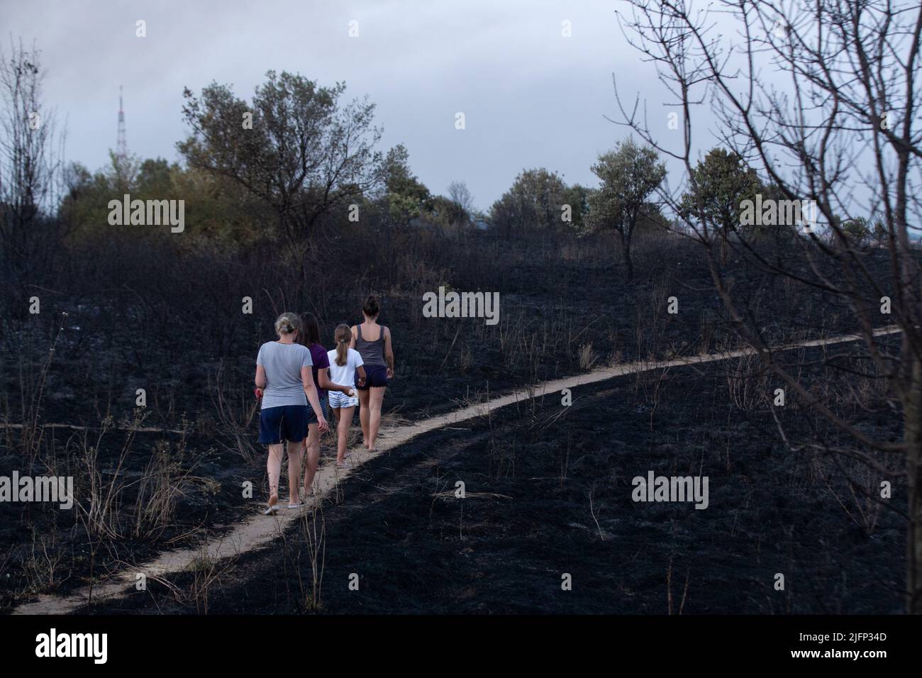 Parco pineto hi-res stock photography and images - Alamy