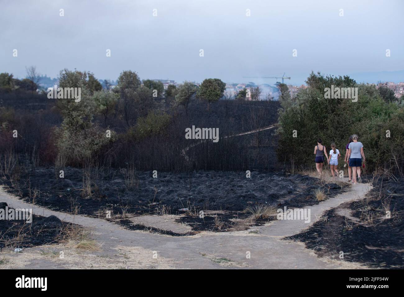 Parco pineto hi-res stock photography and images - Alamy