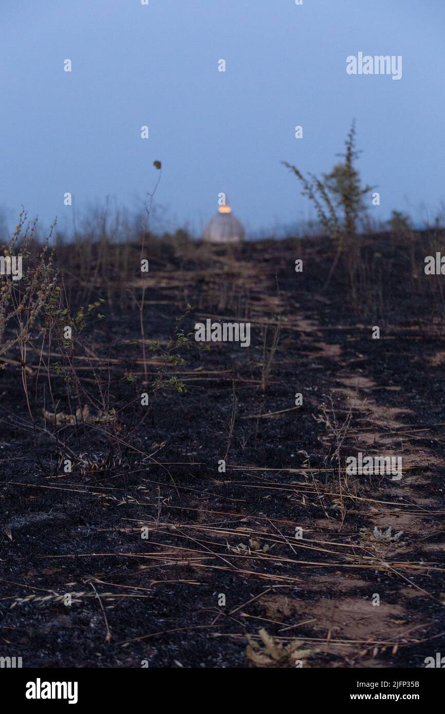 Parco pineto hi-res stock photography and images - Alamy