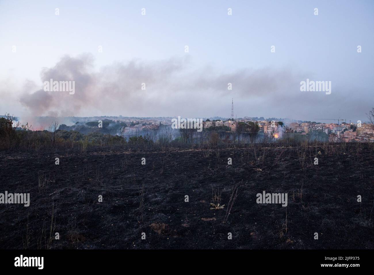 Parco pineto hi-res stock photography and images - Alamy