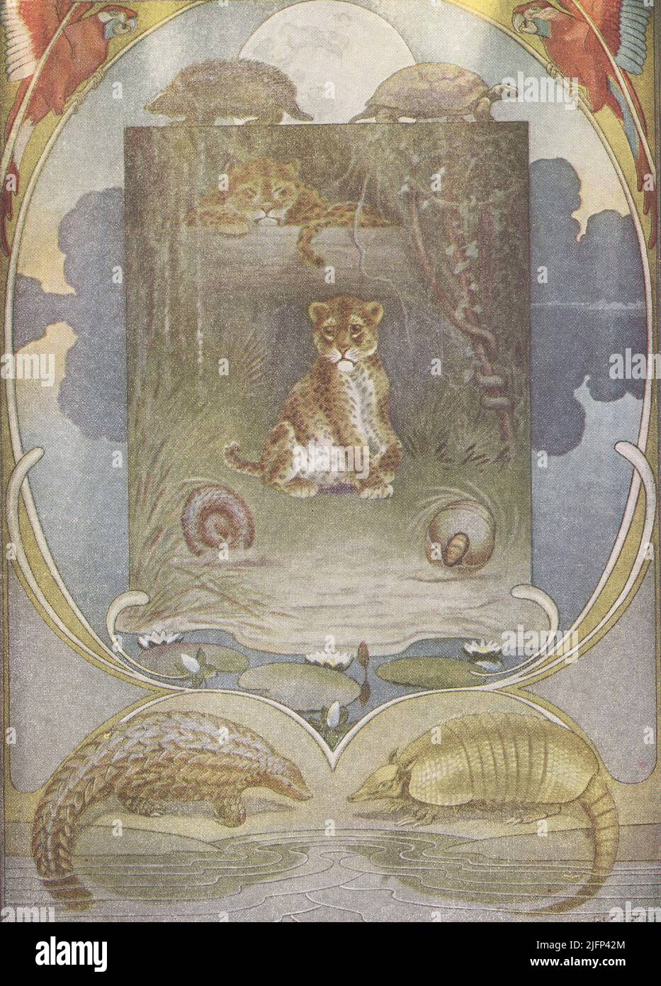 This 1912 image by J M Gleeson illustrates Kipling’s The Beginning of the armadilloes. Stickly-Prickly Hedgehog and Slow-Solid Tortoise lived on the banks of the Amazon river. Painted Jaguar also lived there. He was told by his Mother how to catch hedgehogs and tortoises so that he could eat them, by dropping the Hedgehog into water and scooping the Tortoise out of his shell. He found them, and the Hedgehog curled up while the Tortoise hid in his shell. Painted Jaguar repeated his mother’s advice and asked them which of them was which. They answered by scrambling her words until the Jaguar was Stock Photo