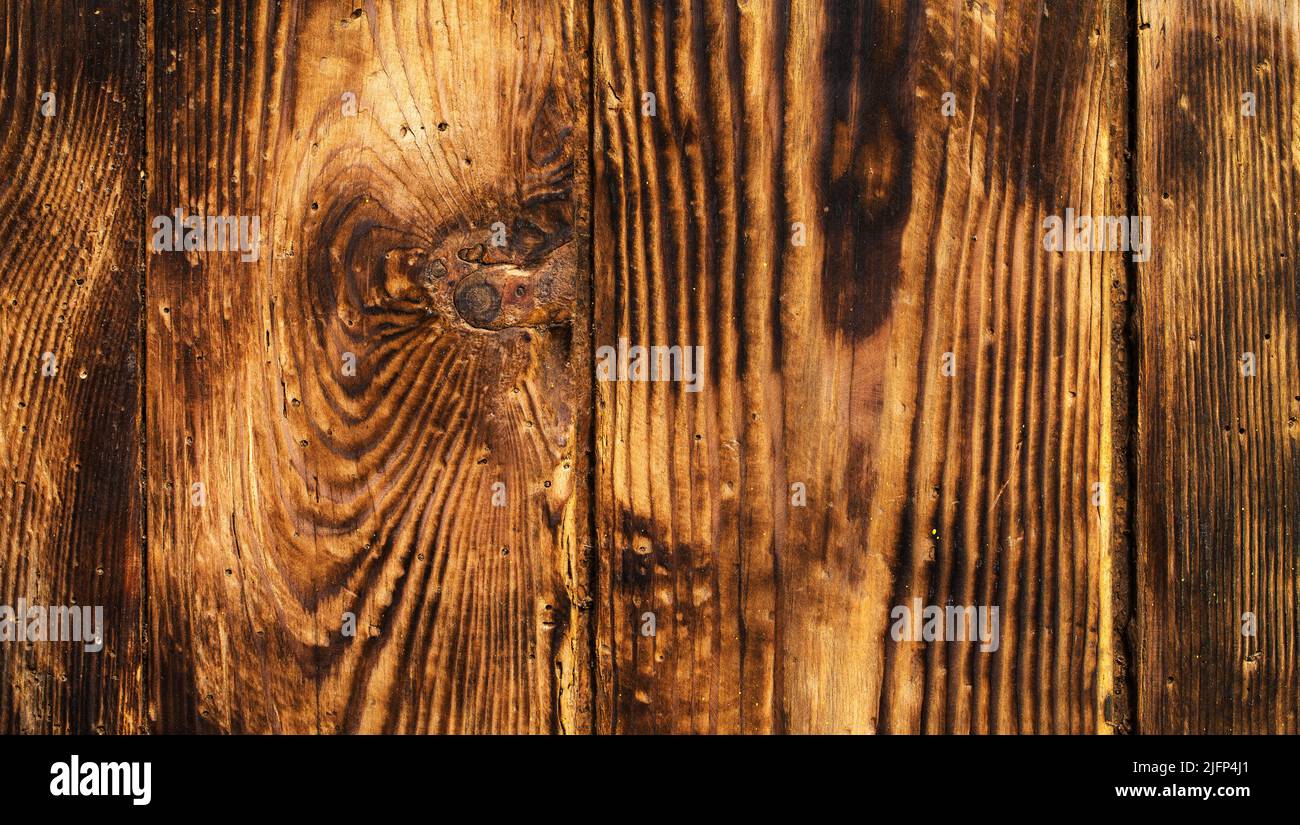 Old burnt pine board, abstract natural texture. Stock Photo