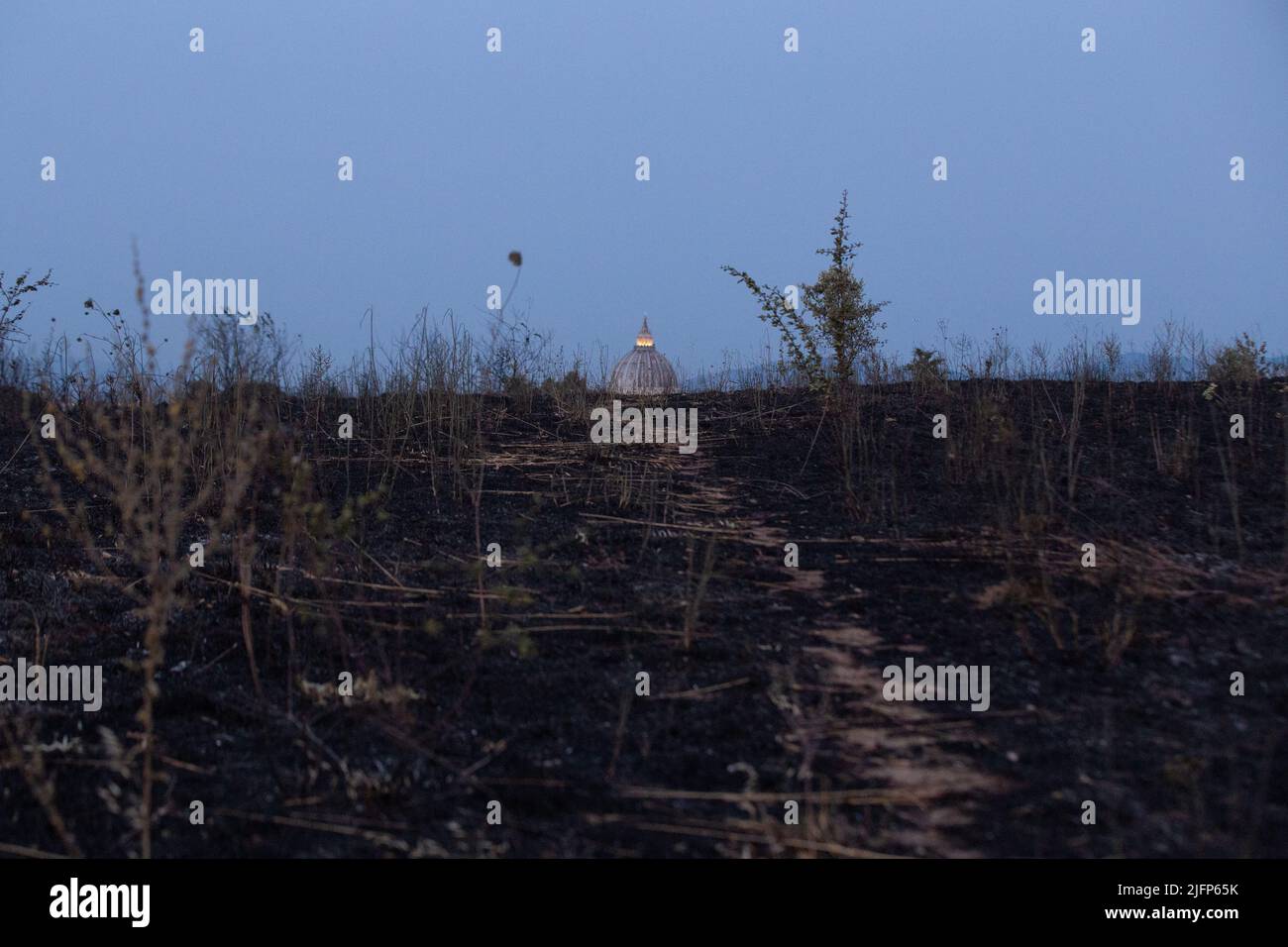 Parco pineto hi-res stock photography and images - Alamy