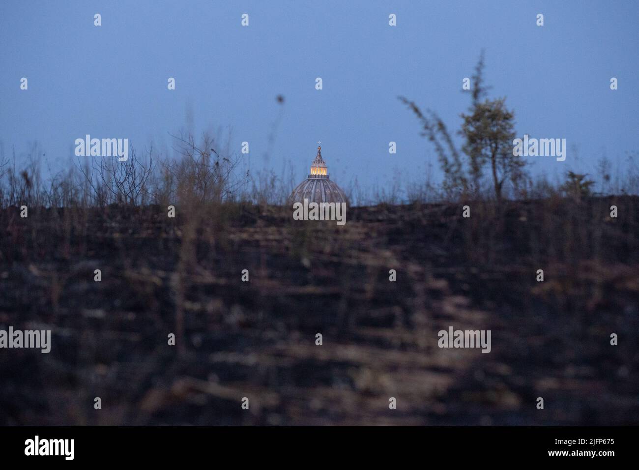 Parco pineto hi-res stock photography and images - Alamy