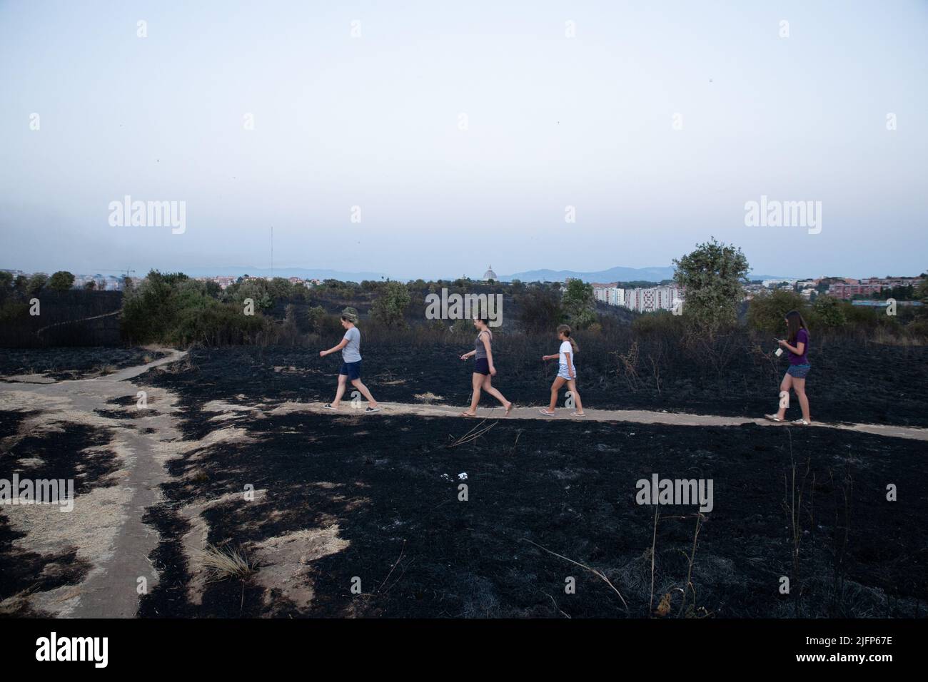 Parco pineto hi-res stock photography and images - Alamy