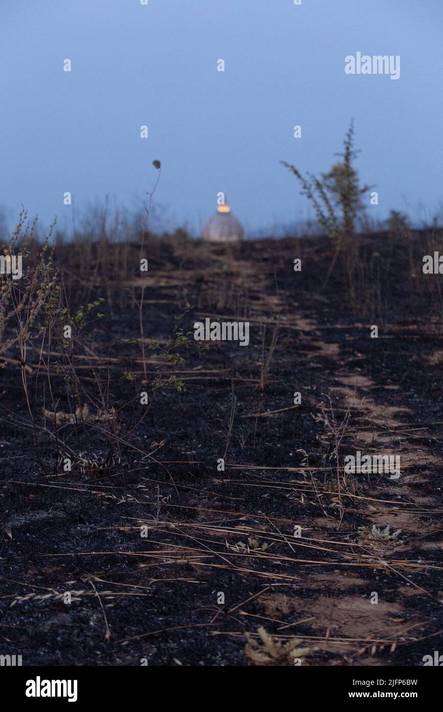 Parco pineto hi-res stock photography and images - Alamy