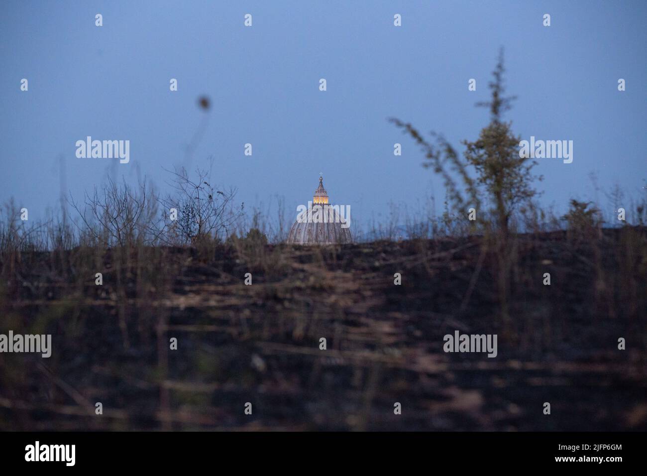 Parco pineto hi-res stock photography and images - Alamy