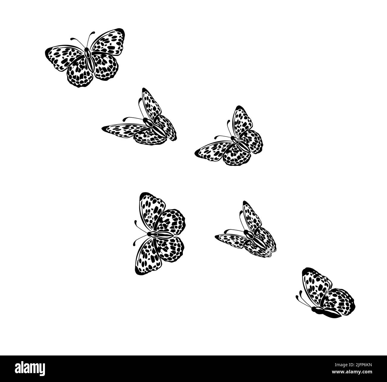 Flying monochrome butterflies. Vector illustration Stock Vector Image & Art Alamy
