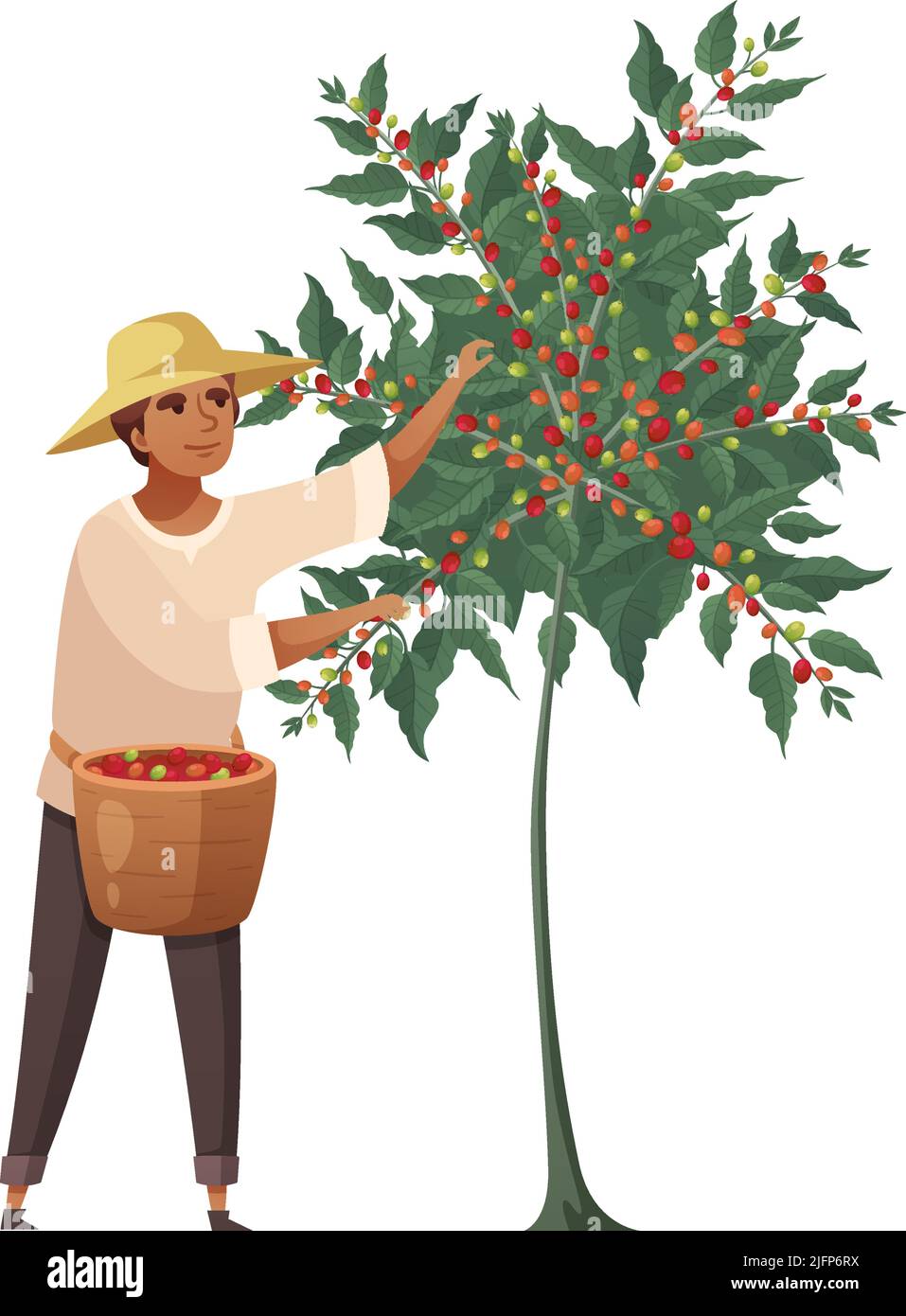 Cartoon male farmer with basket harvesting coffee berries vector ...