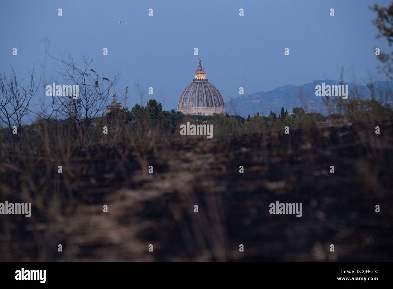 Parco pineto hi-res stock photography and images - Alamy