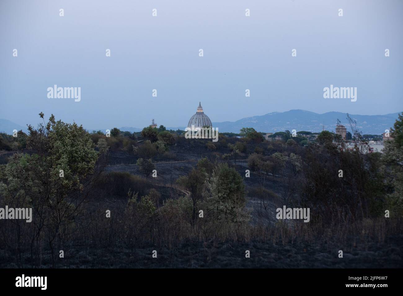 Parco pineto hi-res stock photography and images - Alamy