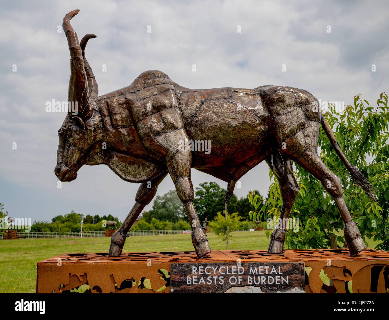 The British Ironwork Centre, Kankrej (Indian Cow)  Exhibit/Sculpture Stock Photo